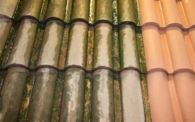 Faut-il démousser sa toiture ? Fréquence et méthodes